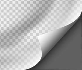 Page curl with shadow on blank sheet of paper for advertising and promotional message isolated on transparent background