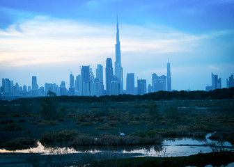 Fototapeta na wymiar Unique view of Dubai city from Las Al Khor Wildlife Sanctuary.