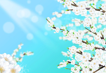 Naklejka na ściany i meble Illustration of a cherry tree in full bloom under a blue sky with sunlight.