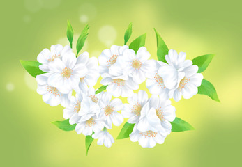 Cherry blossom illustration close-up with light green background.