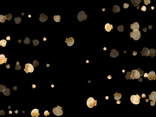 Gold seashells vector, golden pearl bivalved mollusks. 