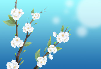 Close-up cherry blossom illustration on blue background.