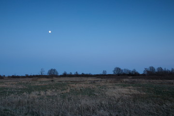 Wieczór na łąkach © Grzegorz