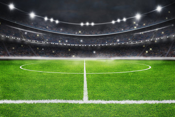 The soccer stadium with the ball on the line