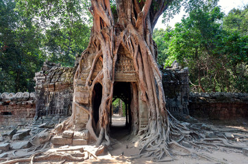 Trees and other vegetation grows among the gopura of 12th century Ta Som temple, Cambodia. Historical entrance of the Angkor landmark
