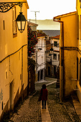 European Street View (Covilh&atilde; - Portugal)