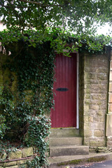 Fototapeta na wymiar The secret door - a red door surrounded by green plants, UK