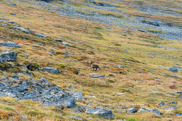 Kiruna, Sweden - september 2019