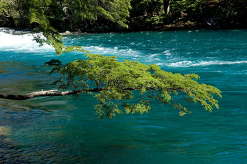 Der Fluss Rio Manso im Nationalpark Nahuel Huapi in Argentinien