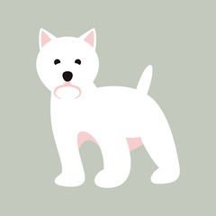 white doggy, vector illustration, flat style, front