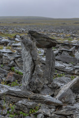Landschaft rund um das Burren &ndash; Country Clare, Irland