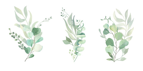 Watercolor green eucalyptus, olive  leaves. Watercolor floral illustration collection  - green leaf branches set for wedding stationary, wallpapers, background,  greetings. 