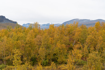 Nikkaluokta, Sweden - september 2019