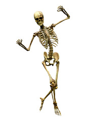 3D Rendering Human Skeleton on White