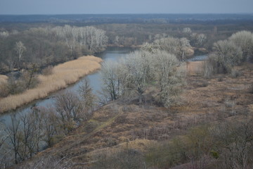 Moody autumn landscape.