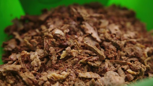 Propolis, closeup of the bee product. Propolis granules, natural antibiotic. Apitherapy concept