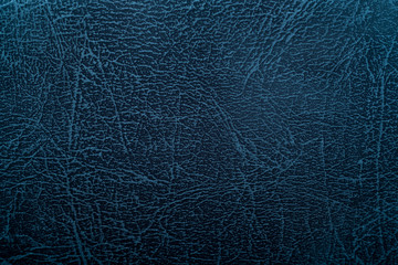 cow leather background, closeup skin texture
