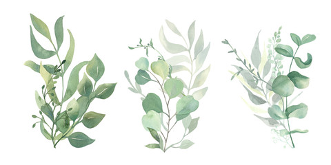 Fototapeta na wymiar Watercolor green eucalyptus, olive leaves. Watercolor floral illustration collection - green leaf branches set for wedding stationary, wallpapers, background, greetings. 