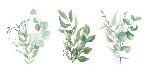 Watercolor green eucalyptus, olive  leaves. Watercolor floral illustration collection  - green leaf branches set for wedding stationary, wallpapers, background,  greetings. 