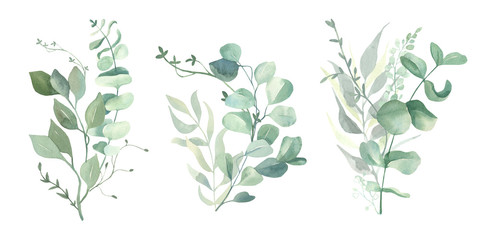 Watercolor green eucalyptus, olive  leaves. Watercolor floral illustration collection  - green leaf branches set for wedding stationary, wallpapers, background,  greetings. 