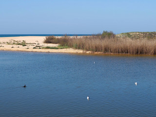 Beautiful lagoon Lagoa dos Salgados near Albufeira in Portugal