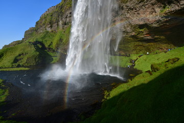 Fototapeta premium waterfall in in Iceland, with rainbow