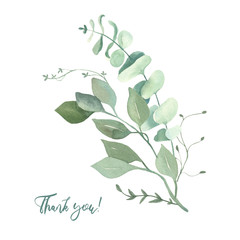 Watercolor green eucalyptus, olive  leaves. Watercolor floral illustration collection  - green leaf branches set for wedding stationary, wallpapers, background,  greetings. 