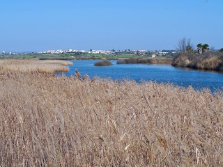 Beautiful lagoon Lagoa dos Salgados near Albufeira in Portugal