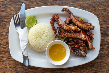Fried octopus tentacles with white rice on a plate, close up