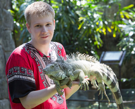 The young man holds an iguana on hands..