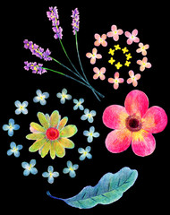 ビビッドな色の、色鉛筆画の花のイラスト