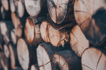 Pile of chopped wood logs stacked on to each other, featuring details of the surface, ready to start a fire. Photo of taken from the side, suitable for the graphic background