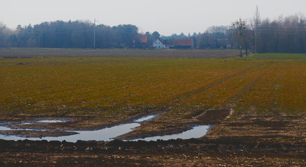 Swamp meadow in the moorland of northern Germany with a large puddle, tracks of the tractor, and a farm in the background