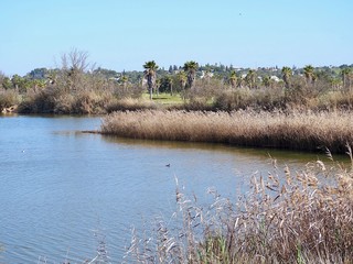 Beautiful lagoon Lagoa dos Salgados near Albufeira in Portugal