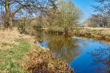 Fototapeta na wymiar The Ise, a tributary of the Aller, near Gifhorn in the moorland and heath landscape with blue water and the hanging branches of bushes and trees