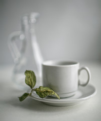 dried leaves of the Apple tree, lying on a tea saucer next to the carafe