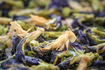 Close up of dried butterfly pea flowers