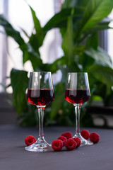 alcoholic beverage, tincture, fortified wine