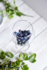 Blueberries in a wine glass on a light wooden board surface