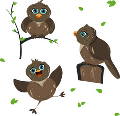 Funny sparrow stickers hand drawn flat vector illustration. Cartoon birds.