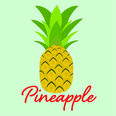 Seamless Vector pineapple background. Exotic tropical fruit. Summer fruits for healthy lifestyle. Pineapple fruit. Vector illustration. Pineapple illustration, typography, t-shirt graphics, vectors.