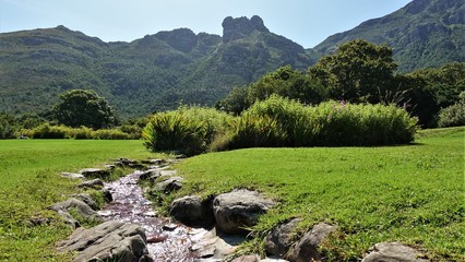 Kirstenbosch Botanical Garden in Cape Town. Mountains, green grass, brook between the stones.