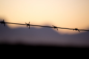 barbed wire fence
