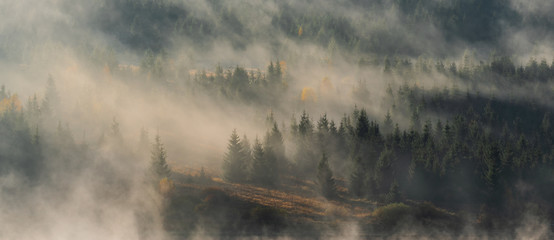Morning fog over forest and mountain lake - 335285077