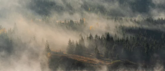 Wall murals Morning with fog Morning fog over forest and mountain lake