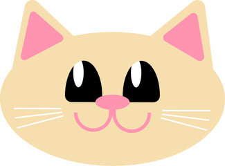 funny cat face  close up photo smiling isolated on white background