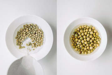 Soaking green pea seeds in warm water in bowl to fasten germination process when planting in...