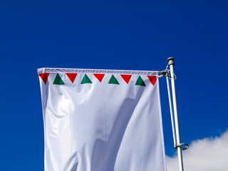waving white, red and green shiny flag in strong wind on silver color aluminum flagpole. clear blue sky.  abstract low angle view. patriotism and national identity symbol and concept.  