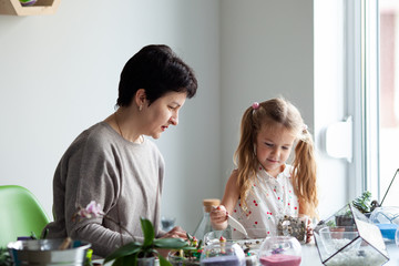 Fototapeta premium Woman teaches planting succulents in a glass florarium at a lesson in a creativity studio,