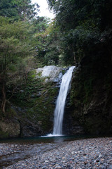 Fototapeta na wymiar 滝のある森林の景色